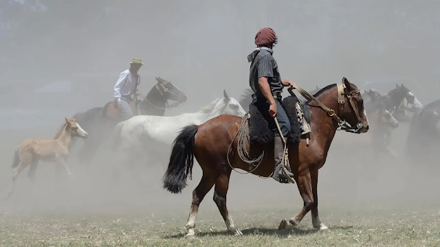 Gaucho Argentine Lifestyle